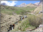 foto Forca Rossa e Passo San Pellegrino